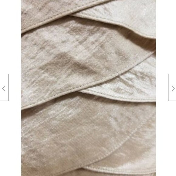 Adrianna Papell Ladies Beautiful Champagne Dress - Picture 6 of 8